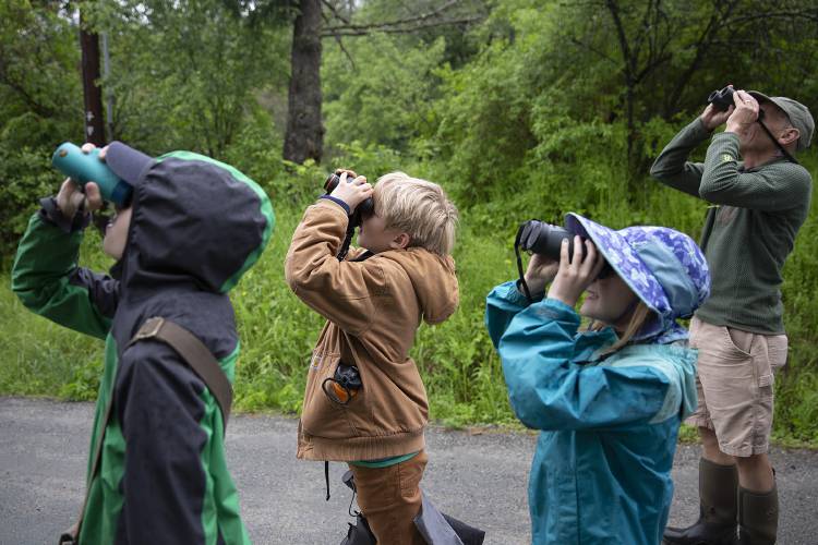 Four people, including three children and one adult, stand outdoors on a path looking up through binoculars, surrounded by green trees and foliage.