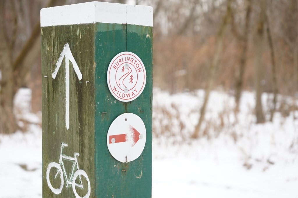 Trail signpost with a Burlington Wildway logo, an arrow pointing right, and a bicycle symbol. Snow-covered ground and bare trees in the background.