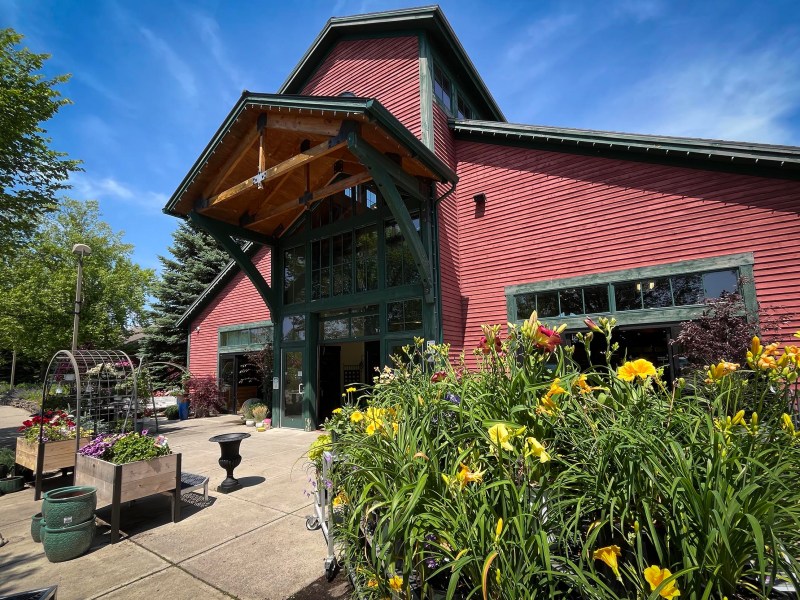 A red barn-style building with large windows and a peaked roof, surrounded by yellow flowers and greenery on a sunny day.