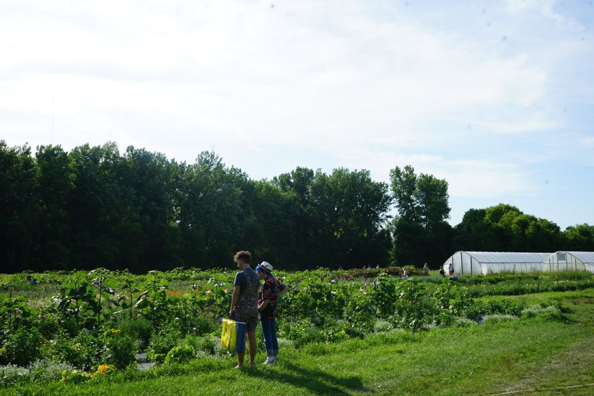 Two people stand and talk in a lush garden or farm field with rows of crops, trees in the background, and a white greenhouse structure on the right.