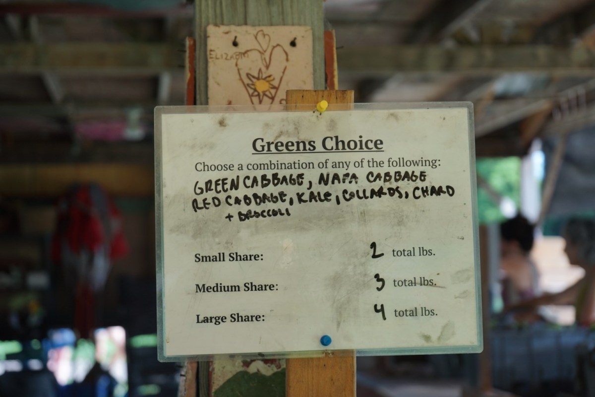 A sign titled "Greens Choice" lists green cabbage, napa cabbage, red cabbage, kale, collards, chard, and broccoli as options, with share sizes and total pounds indicated.