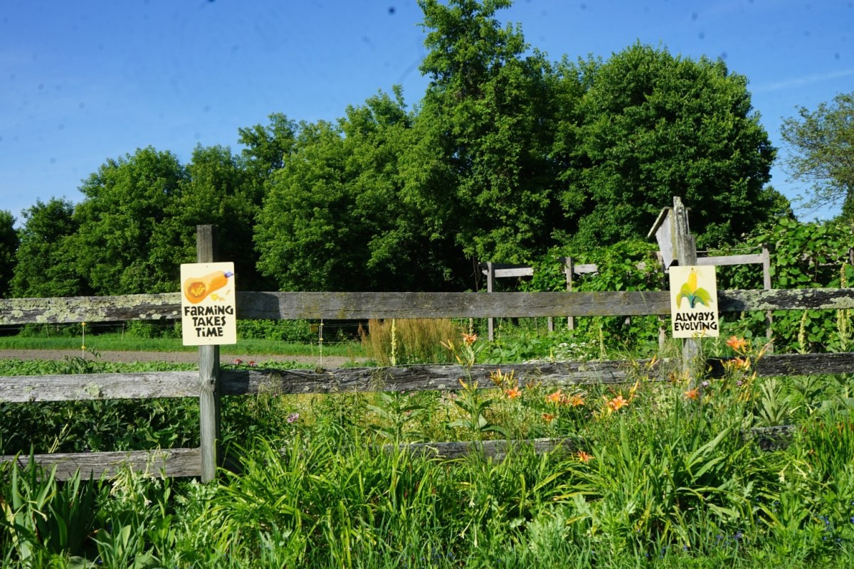 A wooden fence with signs reading “Farming Takes Time” and “Always Evolving” stands in front of a lush, green garden with tall grass, flowers, and trees in the background.