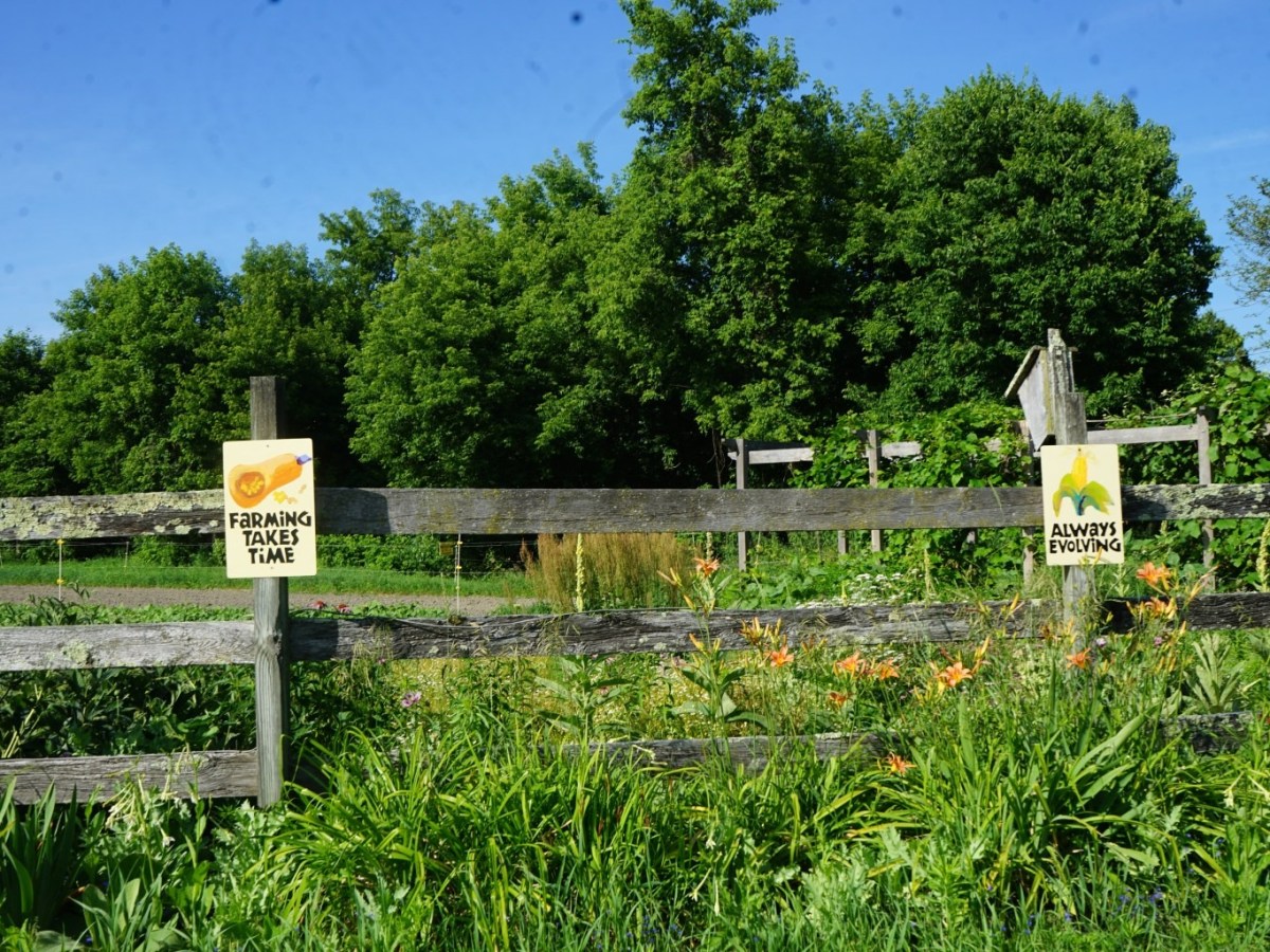 As Vermont CSAs adapt to the climate crisis, members notice the changes 