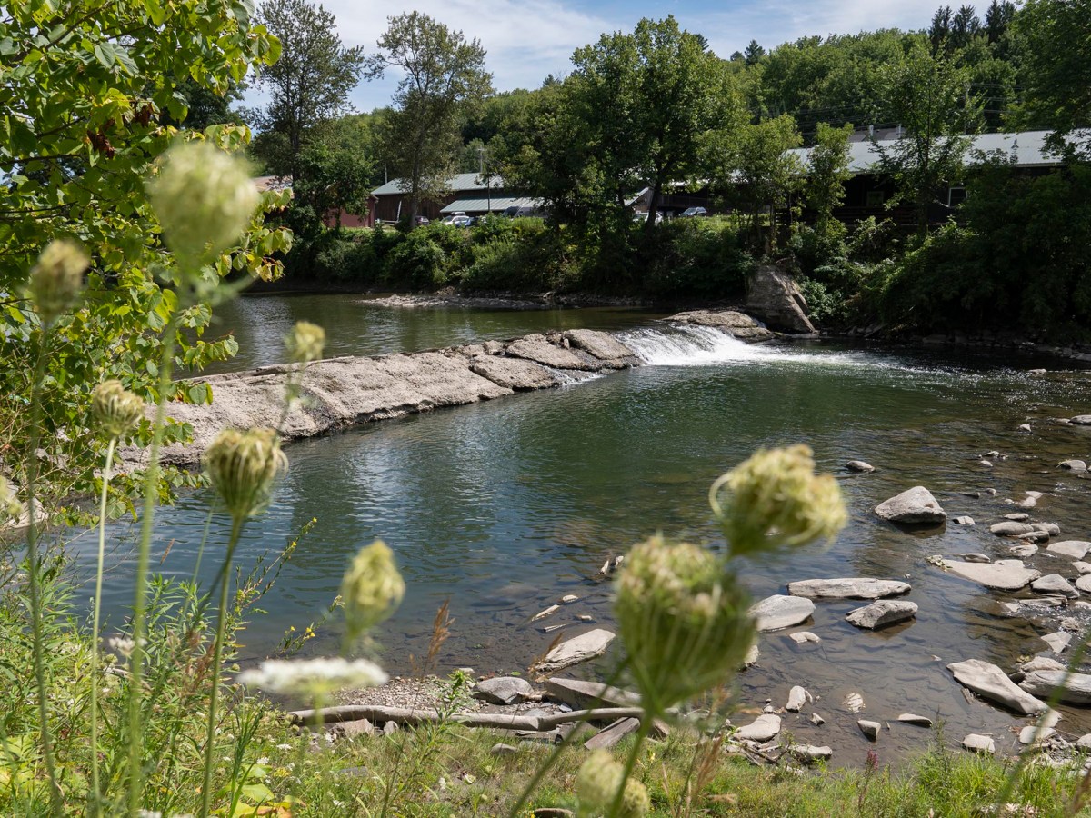 Montpelier plans to remove Pioneer Street Dam and restore nearby floodplain