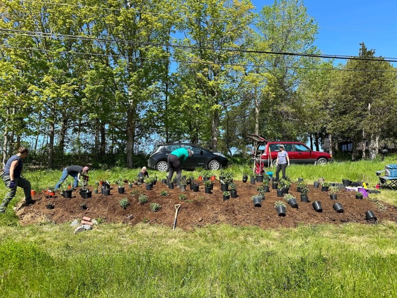 People are planting shrubs and arranging pots in a garden plot near trees and parked cars on a sunny day.