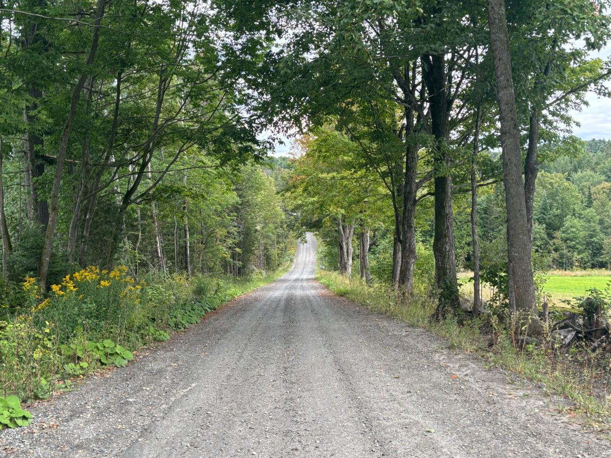 A gravel road stretches into the distance, flanked by tall green trees and wildflowers, under a cloudy sky.