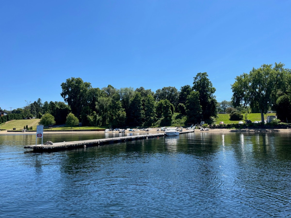 A dock with several boats moored extends into calm water, with a grassy park and trees in the background under a clear blue sky.