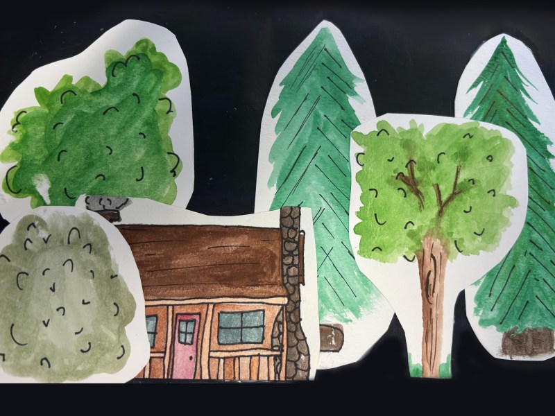 A paper collage of trees, bushes, and a wooden cabin with a pink door, all illustrated in watercolor on a black background.