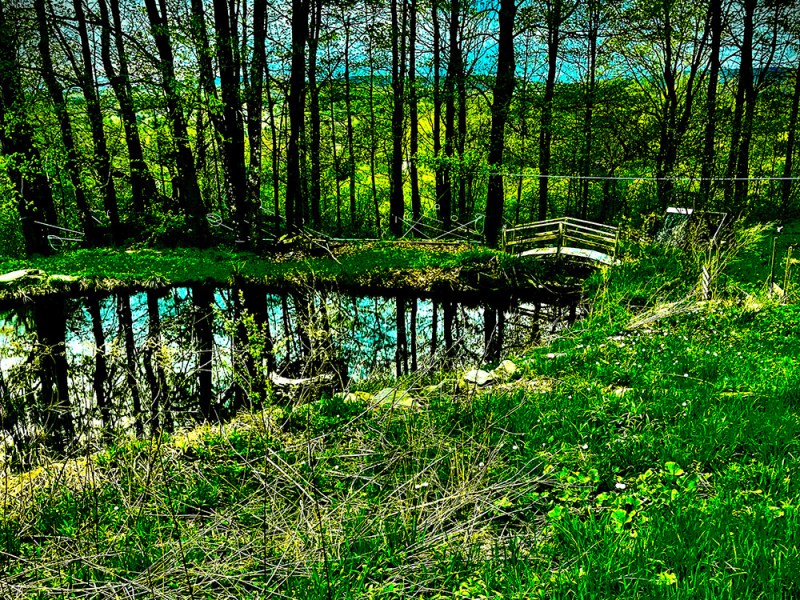 Green grassy slope leading to a small pond bordered by leafless trees, with a wooden footbridge crossing the water and a field visible in the background.