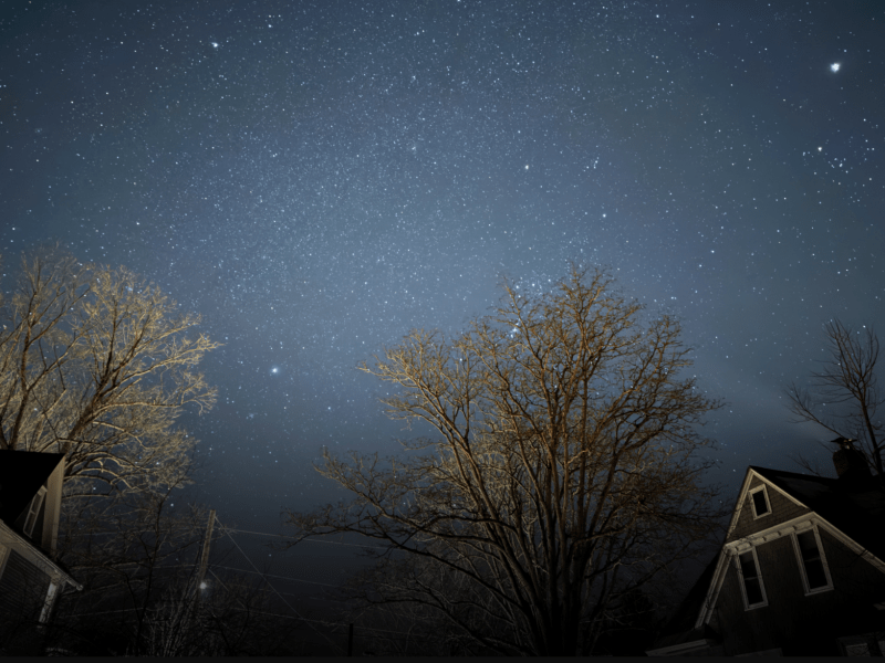 Night sky filled with stars above leafless trees and rooftops of houses, with some branches illuminated by artificial light.