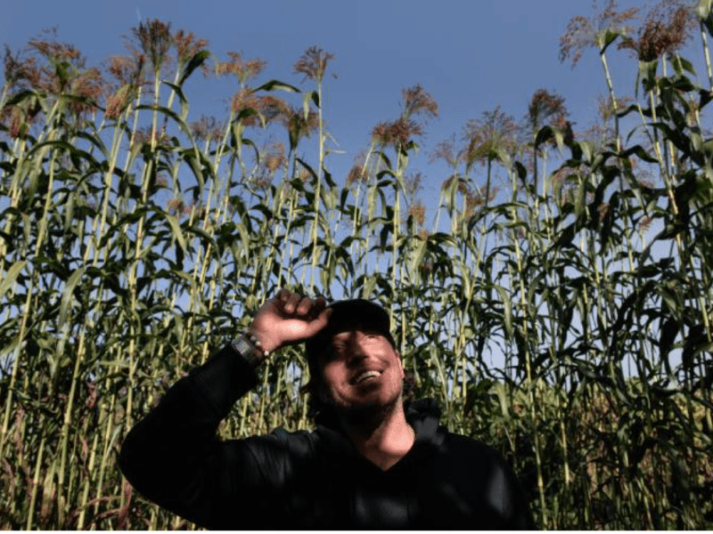 A man wearing a ball cap in a field with blue sky above